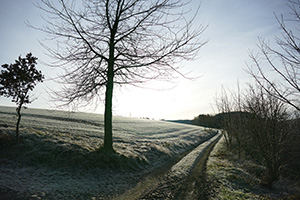 sample photo